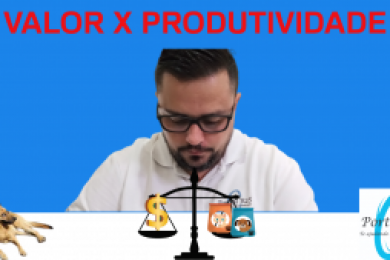 Valor x Produtividade – Parte I | Rafael Resende